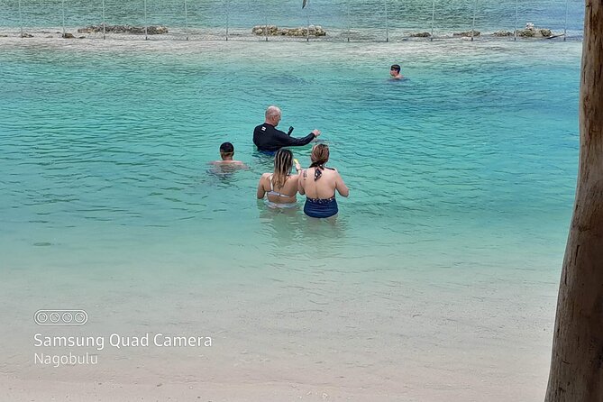 83 Islands Distillery & Sightseeing of Port Vila with Yumi Tours - What the $100 price really covers