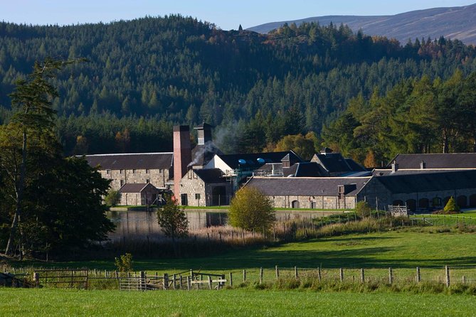 Aberdeen & Shire Castle & Distillery Private Group one Day Tour - What Malcolm adds to the day