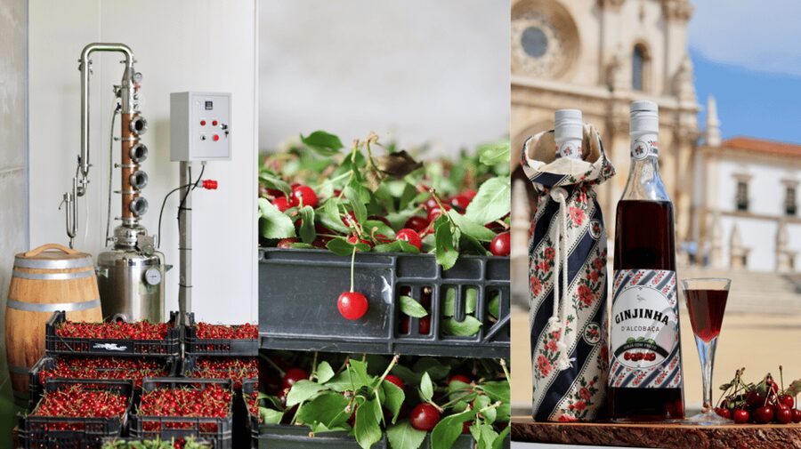 Alcobaça: Visit to the Lemos Figueiredo Winery and Distillery - Casanova gin, apple gin, and Hernandez appetizers