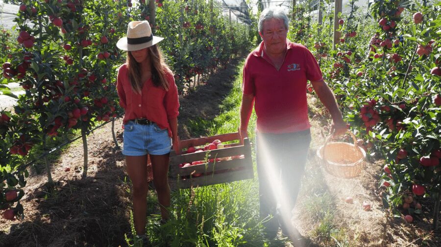 Alcobaça: Visit to the Lemos Figueiredo Winery and Distillery - Practical details before you go