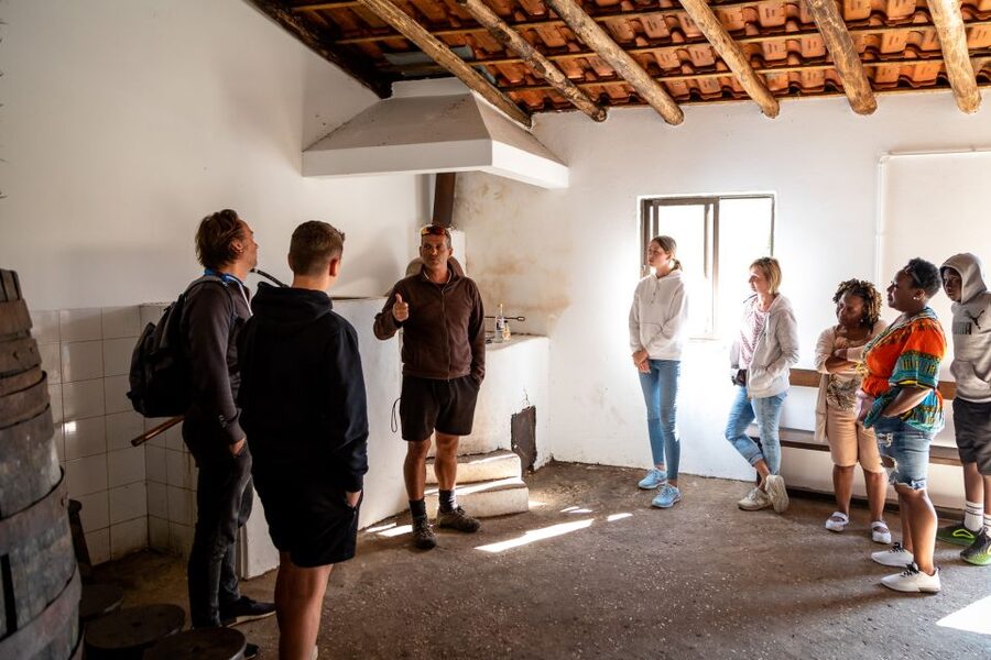 Algarve: Jeep Safari with Distillery Visit & Lunch - Traditional lunch at a countryside restaurant