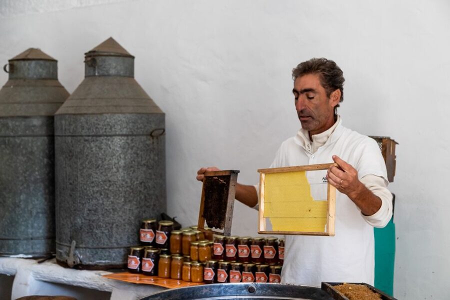 Algarve: Jeep Safari with Distillery Visit & Lunch - Is $84 good value?