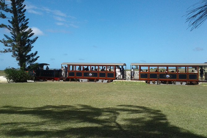 Barbados Sightseeing Plantation distillery tour, Lunch & Drink - A full island sampler in five and a half hours