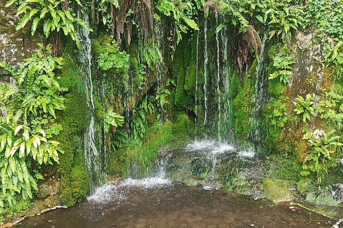 Blarney Castle Cork City and Jameson Distillery Small groups - Small-group travel makes the long route easier