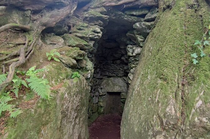 Blarney Castle Cork City and Jameson Distillery Small groups - Who will enjoy this Cork excursion most?