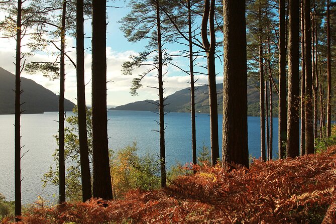Bonnie Lochs & Bold Whisky Small Group Tour from Edinburgh - The Forth Bridges viewpoint at 30 minutes