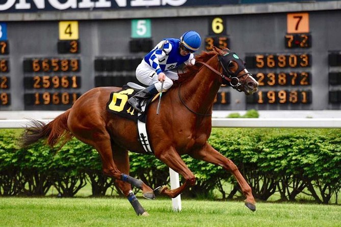 Bourbon & Derby: Makers Mark OR Buffalo trace + Churchill Down - The real value of $180 per person