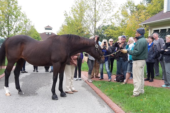 Bourbon Distillery & Horse Farm Tours - Louisville: bourbon in the city