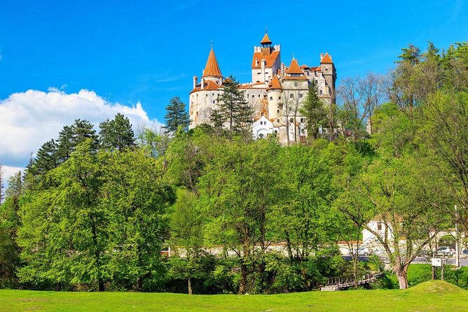 Bran (Dracula) Castle, Bear Sanctuary, Rasnov Fortress & Palinca Distillery - Four Transylvanian experiences in one day