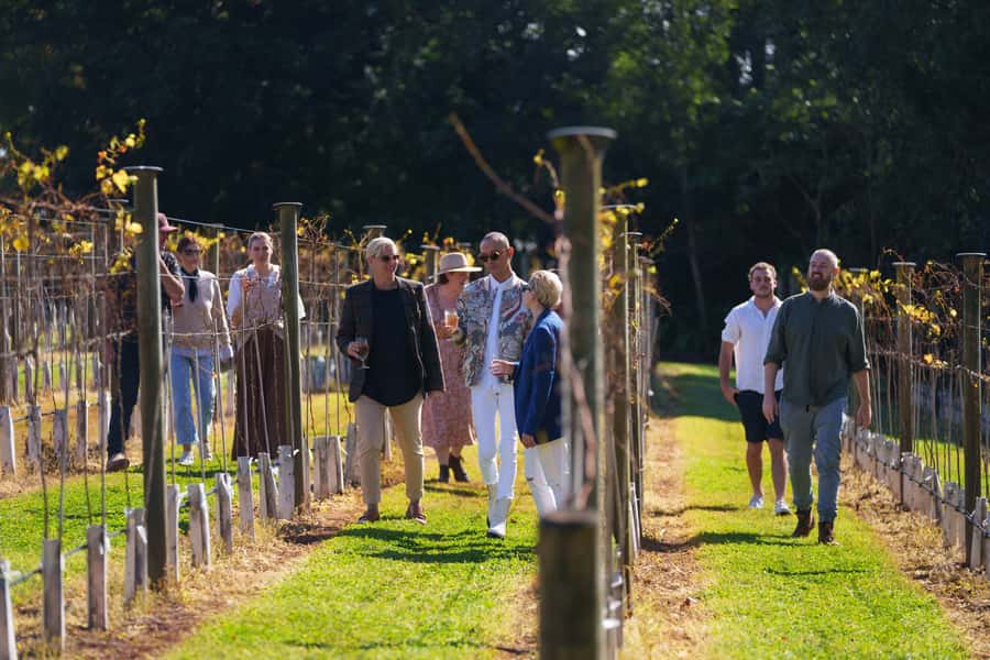 Brisbane: Tamborine Wine & Distillery Tour - The second winery and a food break