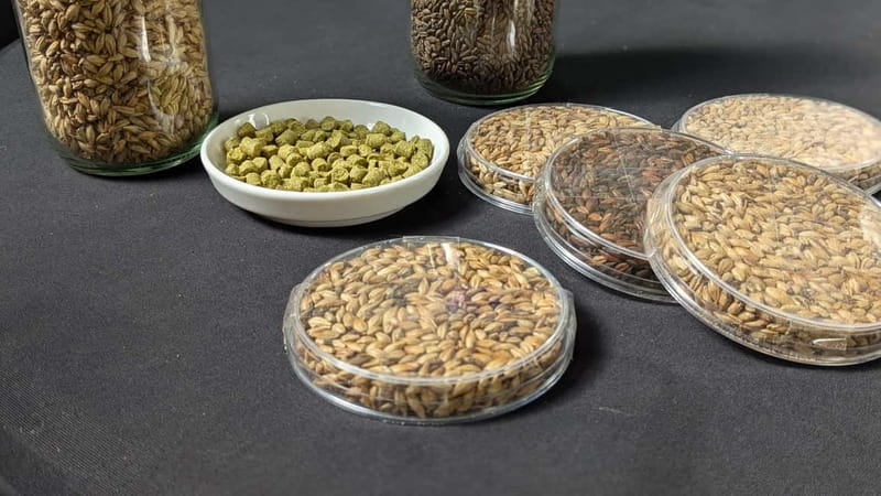 Brussels: micro brewery & distillery tour + beer tasting - What the one-hour visit covers