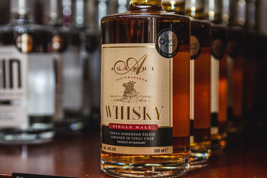 Budapest: Hungarian Whisky, Gin, and Pálinka Tasting - Who should book this experience?