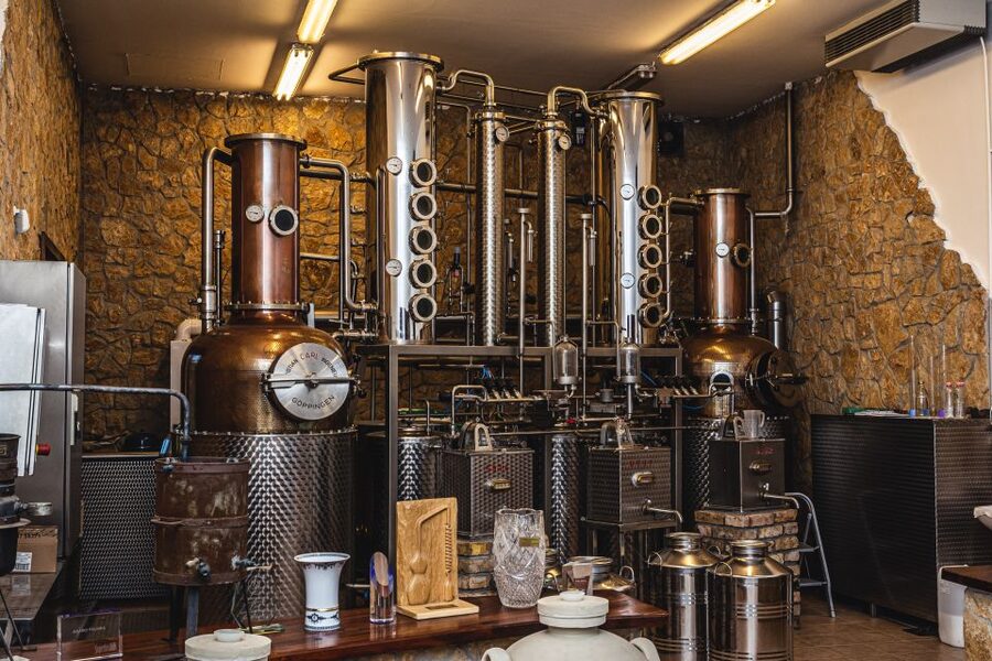 Budapest: Hungarian Whisky, Gin, and Pálinka Tasting - Practical details before you book