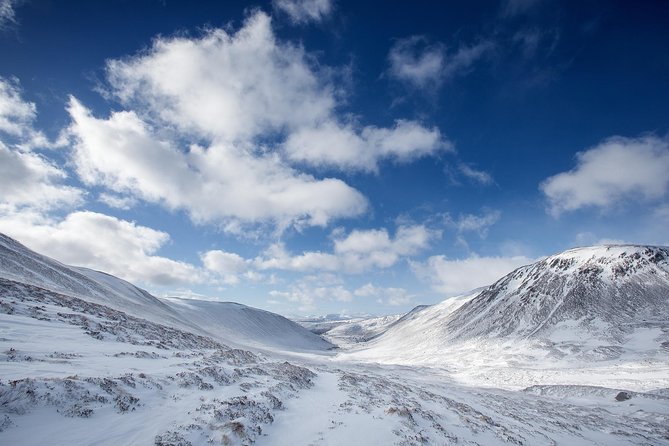 Cairngorms & Whisky Day Tour from Inverness Including Admission - Why the guide can make or break the day
