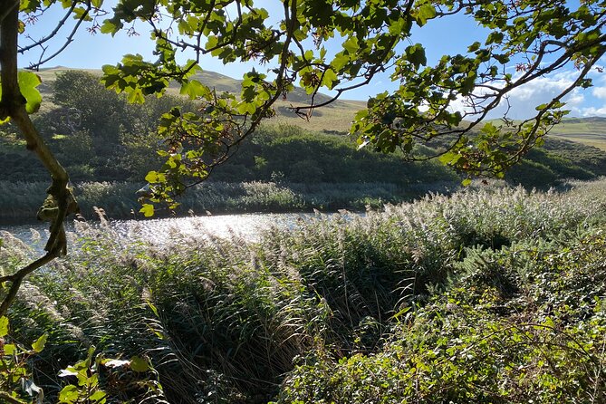 Castles, Coastline and Whisky Tasting Tour with Admission - Dirleton Castle and a second view of Border history