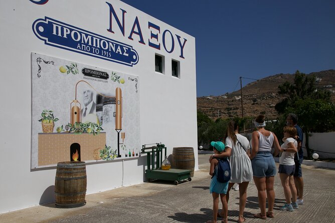 Citron Tasting and Distillery 1-Hour Guided Tour in Naxos - The Tasting Table: Kitron, Raki, and Ouzo