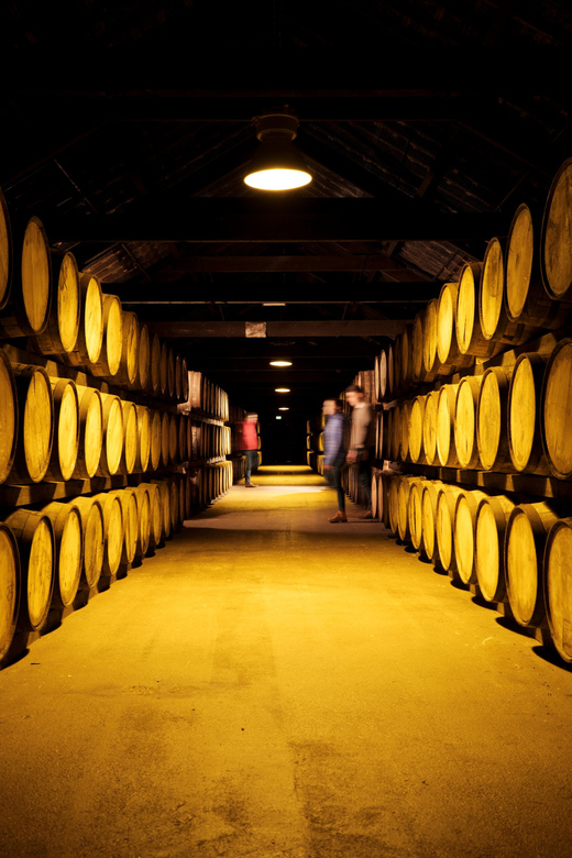 Cork: Midleton Distillery Behind the Scenes Tour & Tasting - Premium tastings beside the production areas