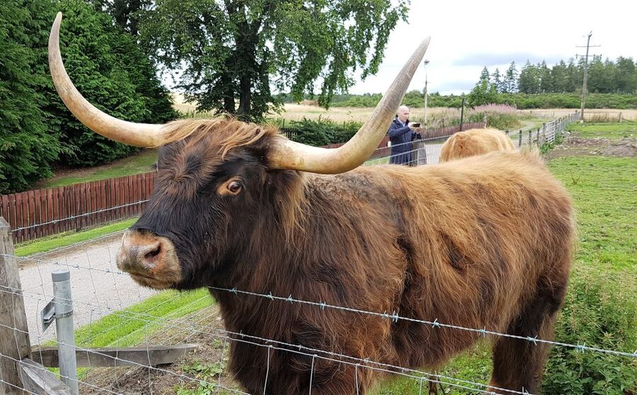 Craigs Luxury Speyside Private Whisky Tour - Who will enjoy this tour most
