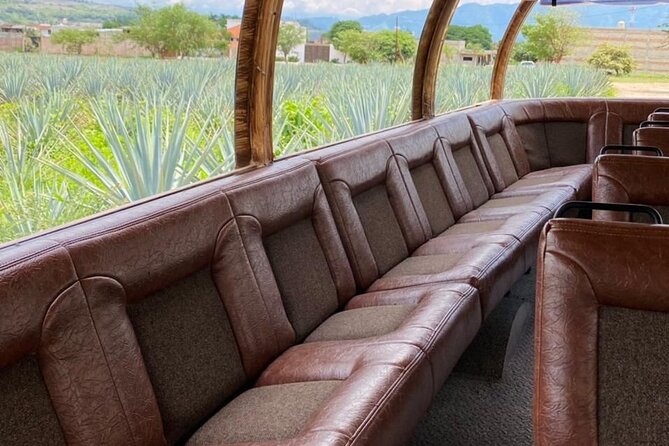 Cultural tour, city fields and distillery - Inside Casa Orendain distillery