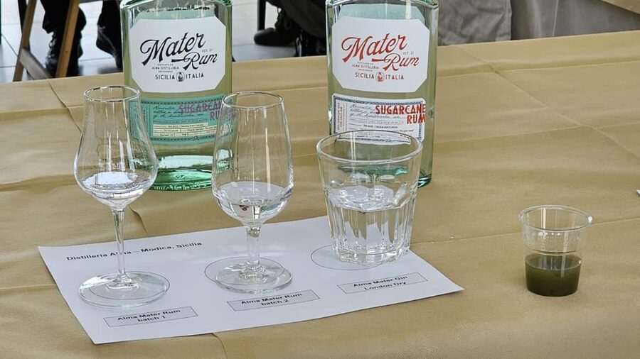 Distilleria Alma- Rum Distilery Guided Tour & Tasting - Is $23 a fair price?