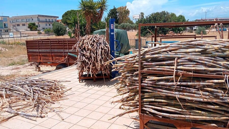 Distilleria Alma- Rum Distilery Guided Tour & Tasting - Practical details for planning your visit