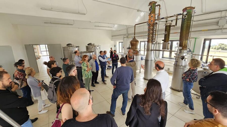 Distilleria Alma- Rum Distilery Guided Tour & Tasting - Starting with sugar cane and the Sicilian growing story