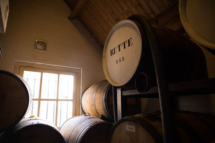 Dordrecht: Distillery Tour with Dutch Gin & Genever Tasting - Who will enjoy this compact Dordrecht stop