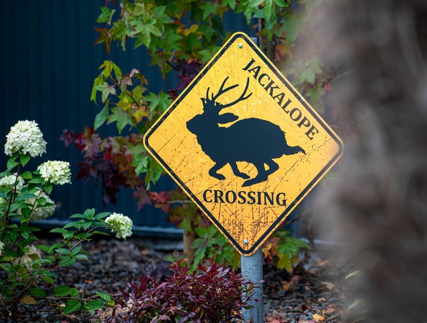 Drumshanbo: The Curious Journey Distillery Tour - The Botanical Glasshouse and Honey Badger Bar