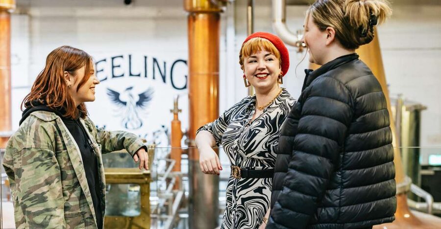 Dublin: Teeling Whiskey Distillery Tour & Tasting - Starting the one-hour visit