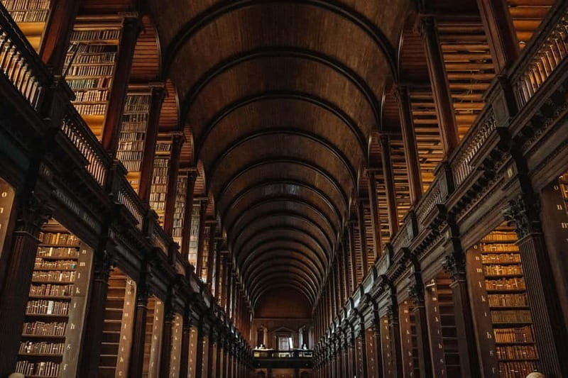 Dublin: Trinity College, Castle, Guinness and Whiskey Tour - The guide can make or break the day