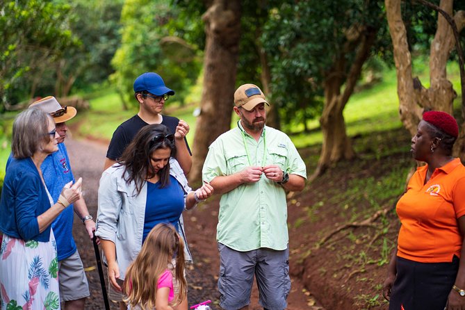 Eastern Tours/ Mt. Carmel Falls / Laura Spice Tour / Clarke's Court Distillery - Timing, fitness, and what to bring