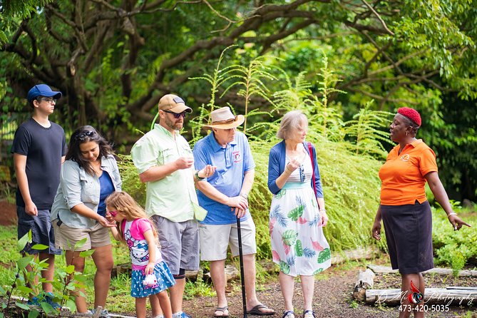 Eastern Tours/ Mt. Carmel Falls / Laura Spice Tour / Clarke's Court Distillery - Who should book this Grenada tour
