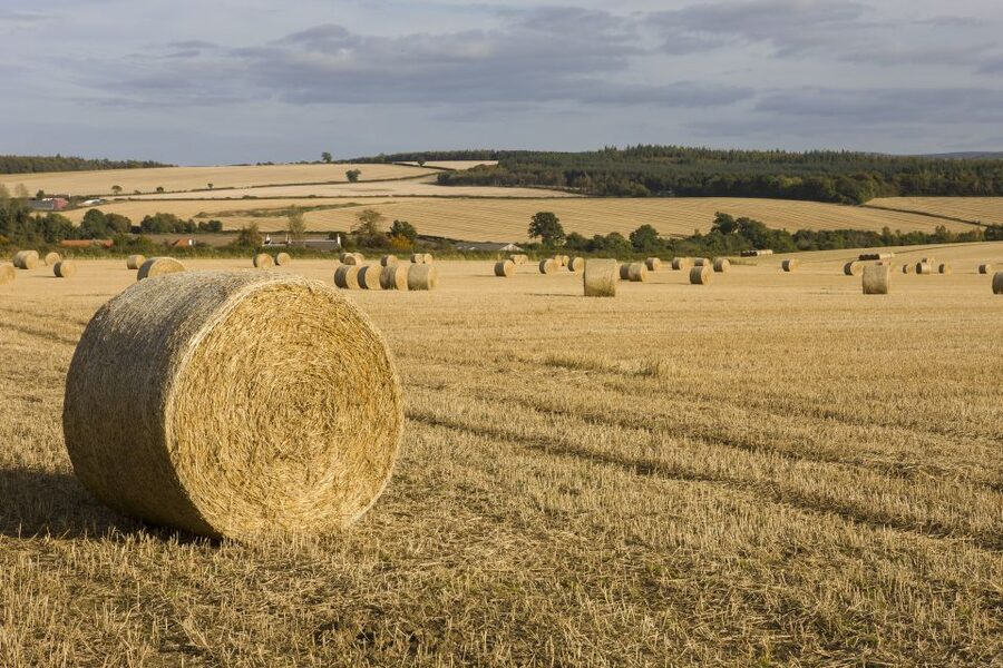 Edinburgh: Rosslyn Chapel, Borders & Glenkinchie Distillery - The scenic ride through the Scottish Borders