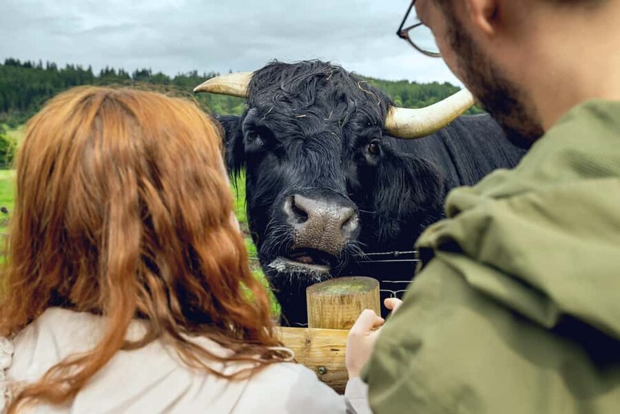 Edinburgh to Scottish Highlands: Whisky, Views & Hairy Coos - Deanston Distillery in a former cotton mill