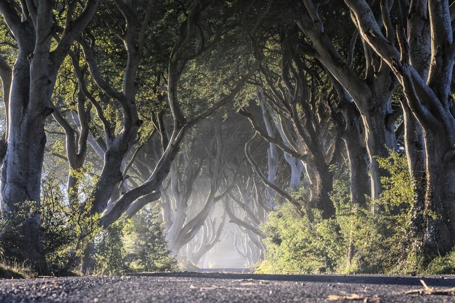 From Dublin: Giant's Causeway Tour and Whiskey Tasting - Is $100 good value for this route?