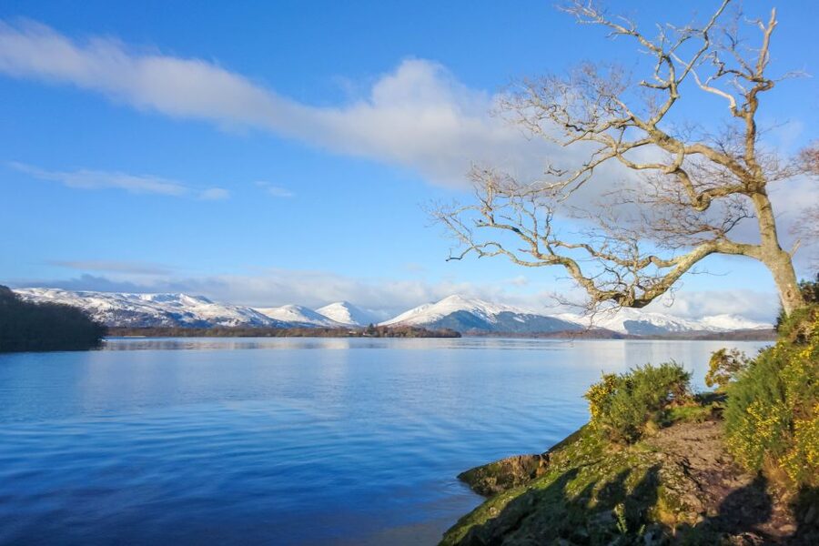 From Edinburgh: Stirling Castle, Loch Lomond & Whisky Tour - Stirling Castle deserves your best two hours
