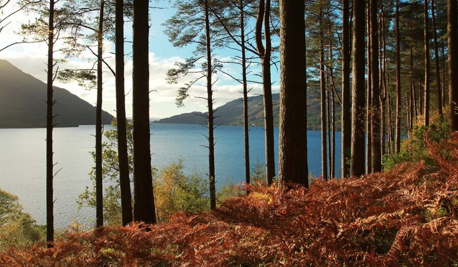 From Glasgow: Whisky and Loch Lomond Tour with Admissions - Should you book it?