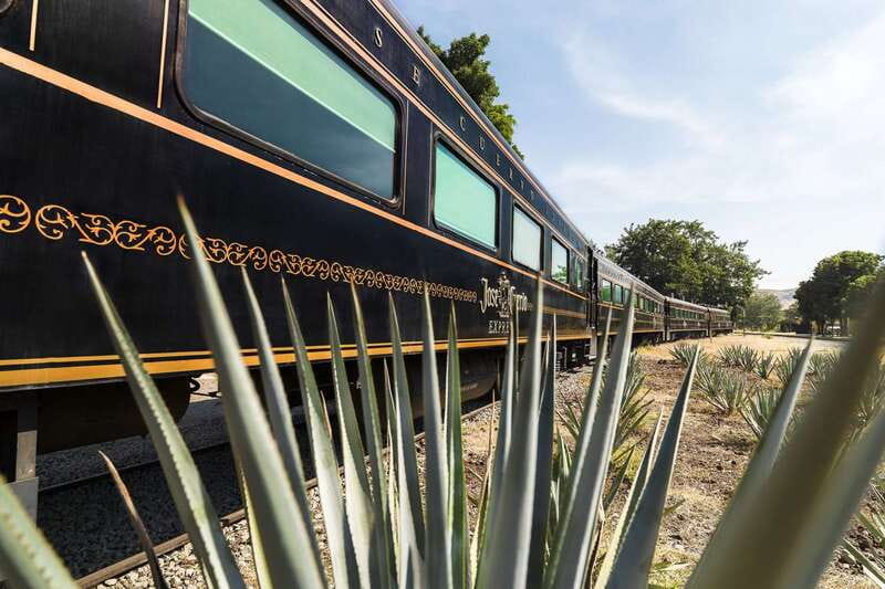From Guadalajara: La Rojeña Distillery & Jose Cuervo Train - Key points to know before you book
