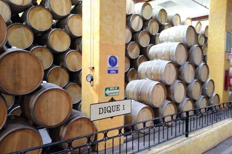 From Guadalajara: La Rojeña Distillery & Jose Cuervo Train - Tequila town gives you a little breathing room