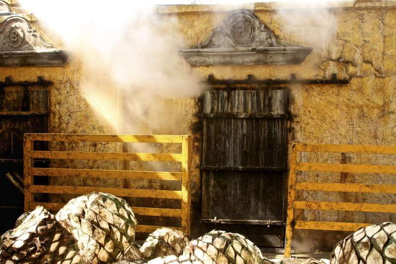 From Guadalajara: La Rojeña Distillery & Jose Cuervo Train - What the José Cuervo Express adds at sunset