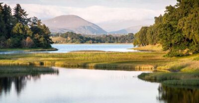 Cairngorms National Park and Whisky Tour