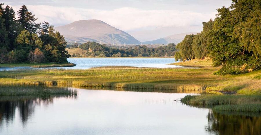From Inverness: Cairngorms National Park and Whisky Tour - Carrbridge and its Old Packhorse Bridge