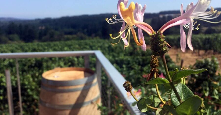 From Portland: Willamette Valley Wine & Whisky - Key points at a glance