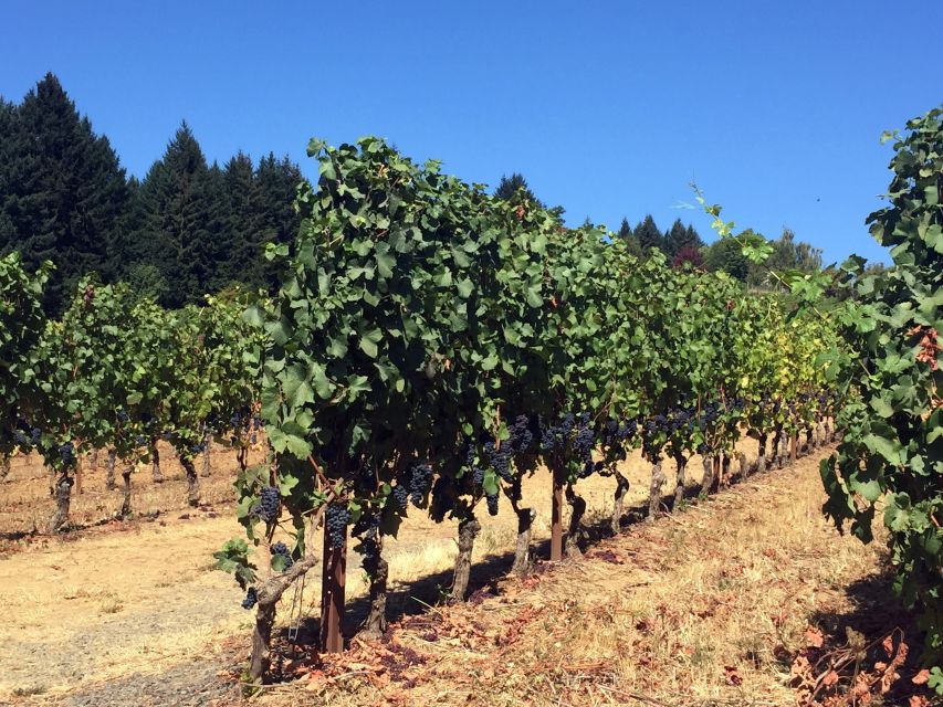 From Portland: Willamette Valley Wine & Whisky - Lunch and the practical rhythm of seven hours