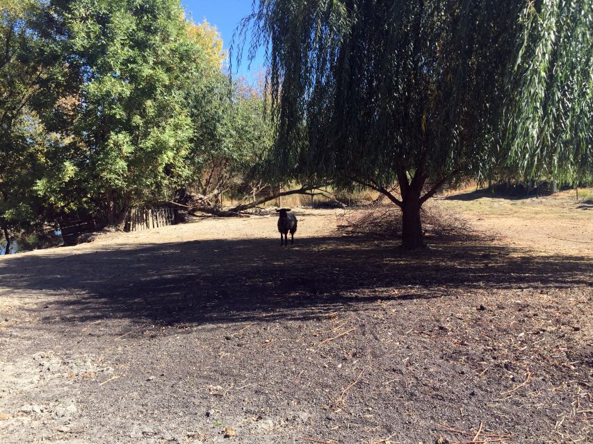 From Portland: Willamette Valley Wine & Whisky - The winery visits: at least two different sides of the valley