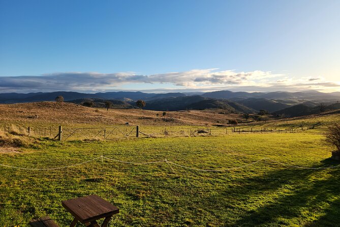 Full-Day Canberra Brewery, Wineries & Distillery tour /w lunch - Ambrosia Distillery changes the pace
