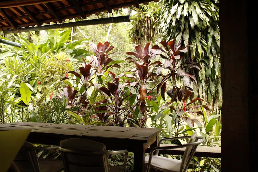 Full-Day Jungle Jeep Waterfall and Cachaça Distillery Tour - Murycana Farm and the second distillery