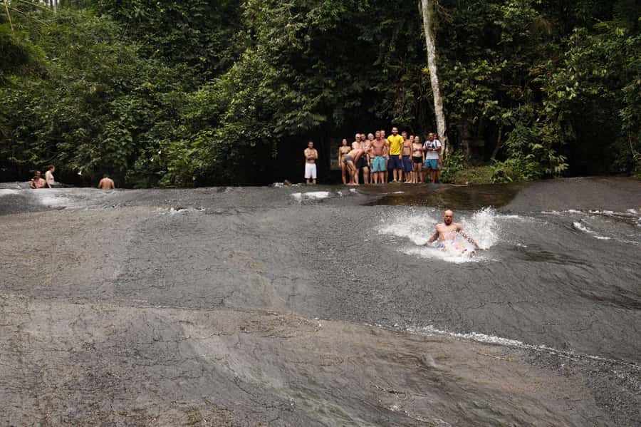 Full-Day Jungle Jeep Waterfall and Cachaça Distillery Tour - The Bromeliad Exhibition closes the route