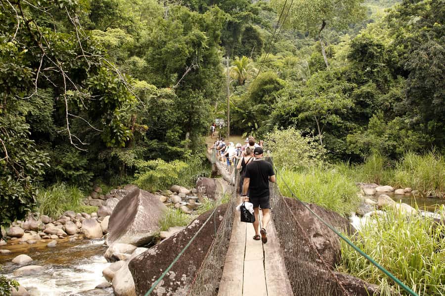 Full-Day Jungle Jeep Waterfall and Cachaça Distillery Tour - What the $60 price really covers