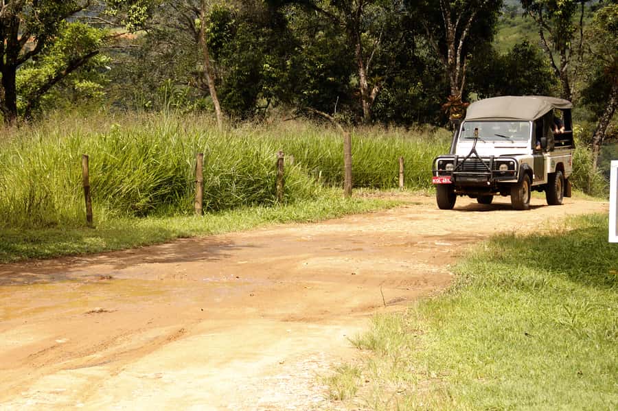 Full-Day Jungle Jeep Waterfall and Cachaça Distillery Tour - Following Paraty’s Gold Trail
